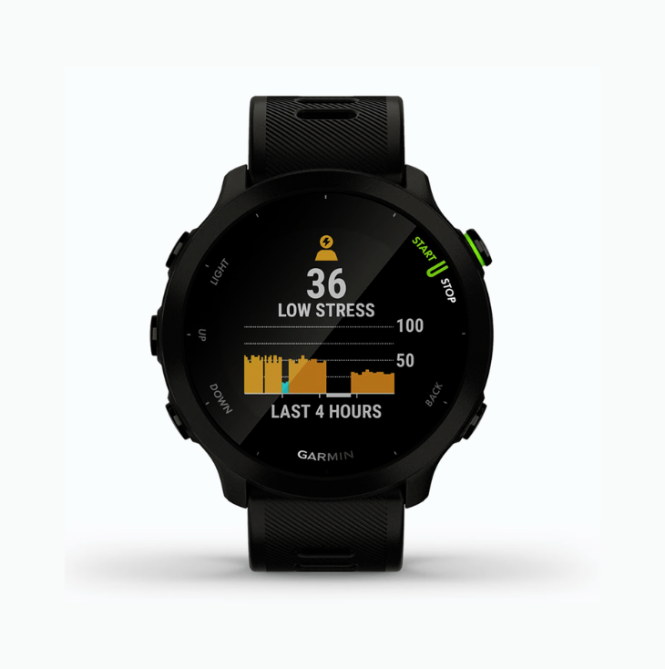 Reloj Garmin Forerunner 55 GPS